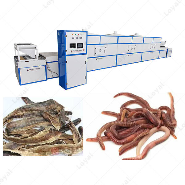 Microwave Insect Earthworm Tunnel Dehydrator Drying Machine