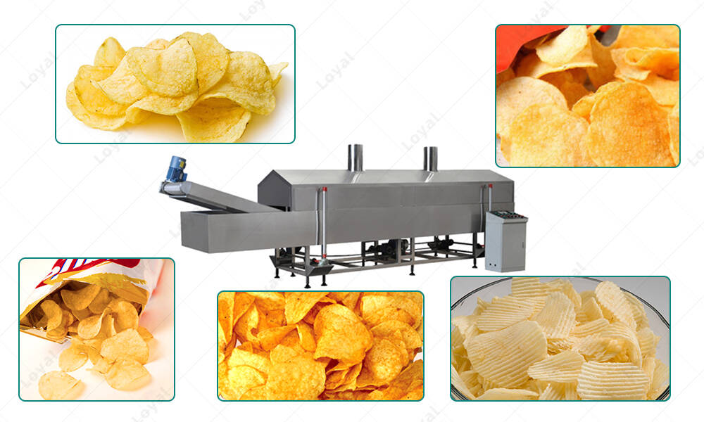 Applications Of The Fully Automatic Conveyor Belt Deep Fryer ln manufacturer
