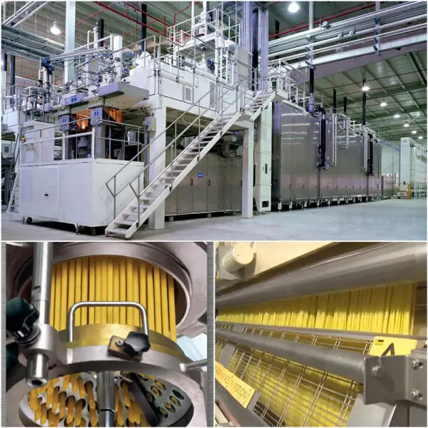 Pasta Macaroni Making Machine Single Screw Extruder with Capacity 200~250kg per hour