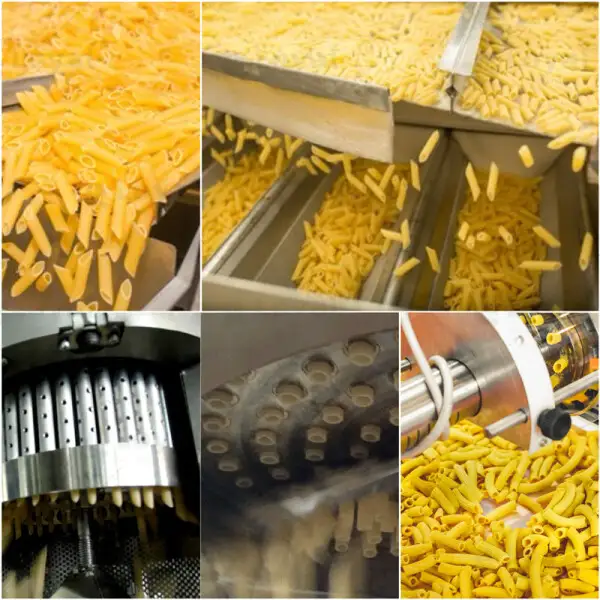 Pasta Macaroni Making Machine Single Screw Extruder with Capacity 200~250kg per hour