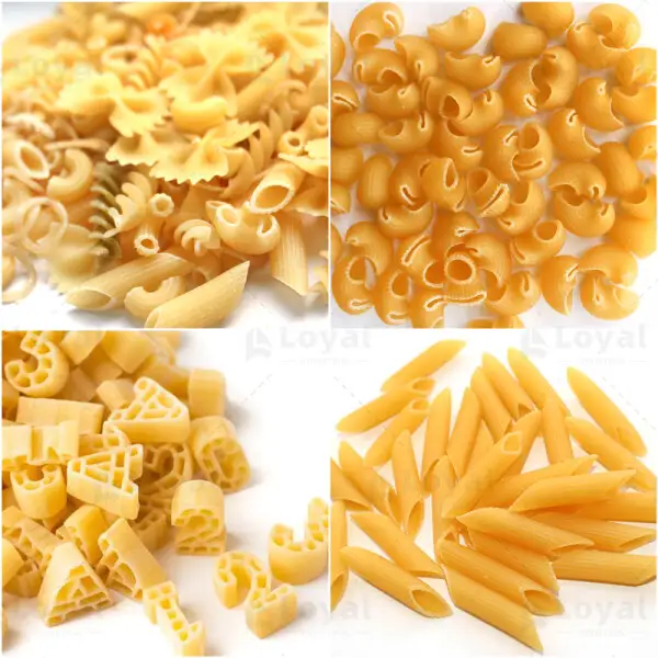 Pasta Macaroni Making Machine Single Screw Extruder with Capacity 200~250kg per hour